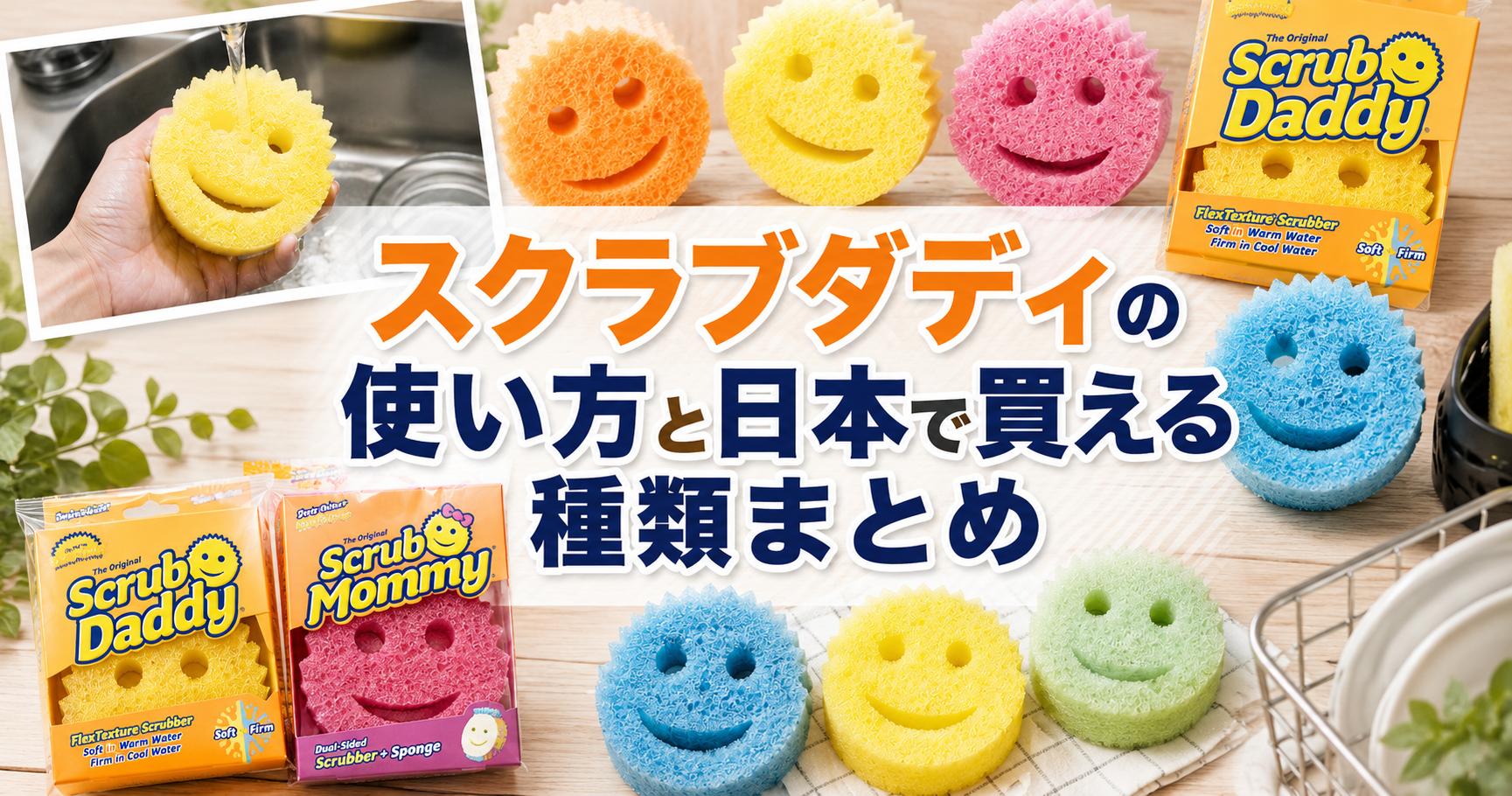 タイトル画像　スクラブダディ